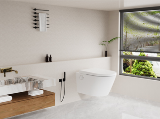 Smart Bidet Toilet Seat B2B Buying Guide: Complete Analysis of Retrofit Multi-Function Toilet Seats