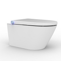 The most popular Intelligent bidet seat in European