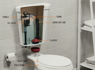 What You Need to Know about Toilet Components