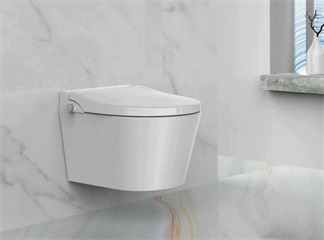 Non-Electric Bidet Toilet