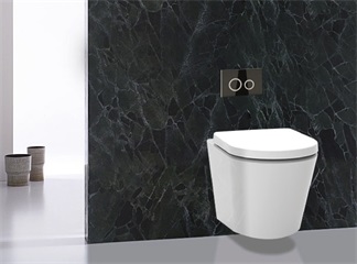 Intelligent Bidet Seat with Automatic Open/close