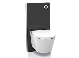 Smart toilet purchase tips