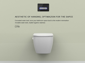 Hidden Cistern with Injection-Molded HDPE: An Ideal Choice for Modern Bathrooms