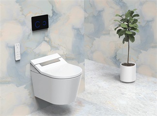 Three Underappreciated Features of Smart Toilets