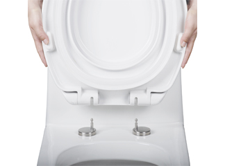 How Do Quick-Release Toilet Seat Hinges Work?