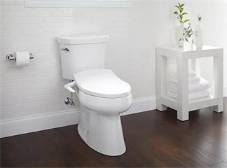 Electric versus Non Electric Bidet Seat