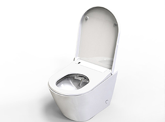 Are Rimless Toilets Worth It?