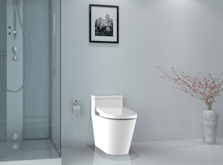 How to Choose the Perfect Ceramic Toilet for Your Home: A Comprehensive Guide