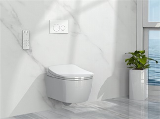 A Fire Suddenly Broke out When Someone was Using the Smart Toilet
