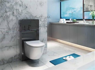 Market Size and Trend of Toilet Cistern in 2023