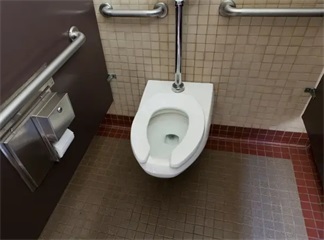 Reasons why some public toilets use U-shaped seat rings