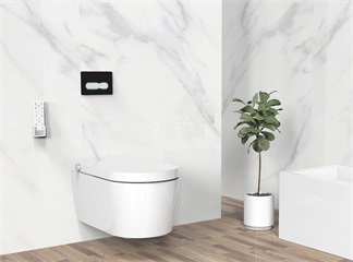 Bidet Myth: Bidets are only for the “Rich”