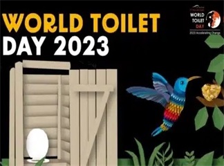 What is World Toilet Day?