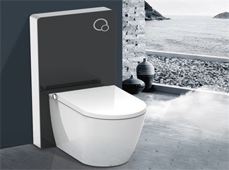 Three Flush Functions to Look for in a New Toilet