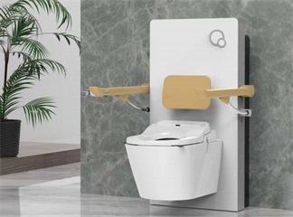 Bathroom and Toilet Auxiliary Equipment Market Research Analysis to 2032