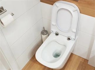 Are Removable Toilet Seats the Secret to Really Clean Toilets?