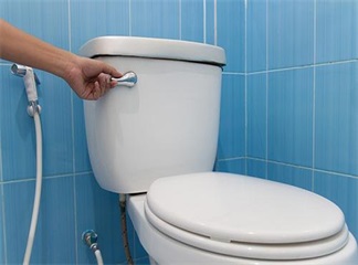 Key Factors Influencing the Flushing Systems Market 2025: Role of Flushing Systems in Addressing the Growing Awareness Drivers