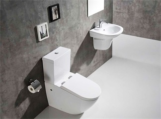 The History of the Bidet