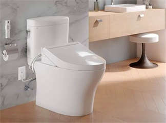 Philippines Ranks among the Top Countries for Bidet Users